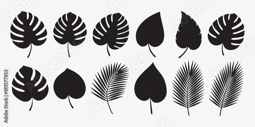 Tropical leaf silhouettes set exotic botanical design element
