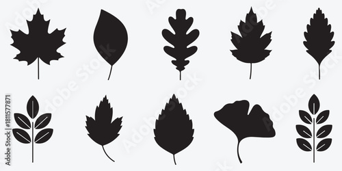 Diverse leaf silhouettes vector collection of various tree types