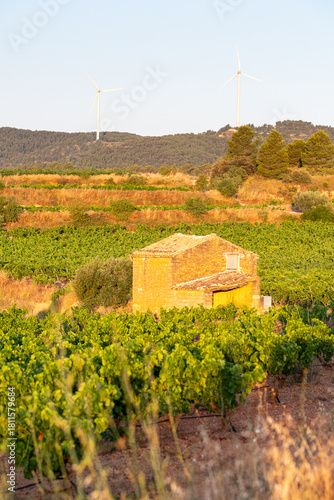 Catalonia Terra Alta vineyard terrain and landscape combine with panorama agriculture and viticulture harvest to underline wine culture in sweeping rural landforms
