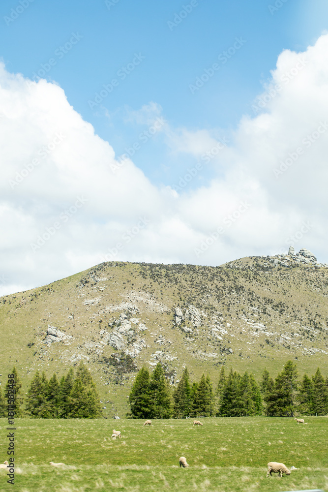 Fototapeta premium Tranquil mountain landscape with lush pine forest and blue sky