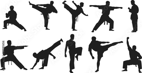 Karate and martial arts silhouette vector set, dynamic fighting action, high kick, self-defense, combat training, man in kimono, sport.
