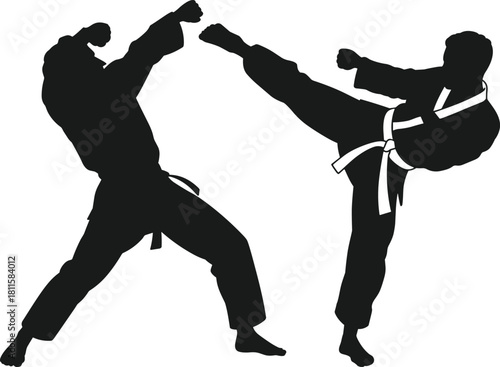 Karate fighters silhouette vector, dynamic high kick action, combat sport, self-defense training, martial arts master, full body, fight scene.