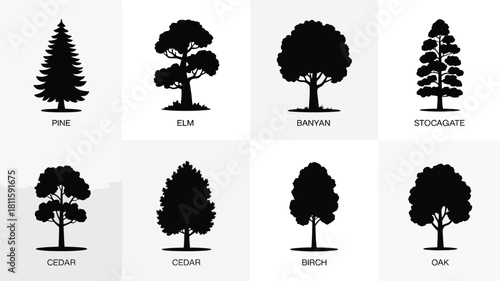 Various tree silhouettes vector icon set