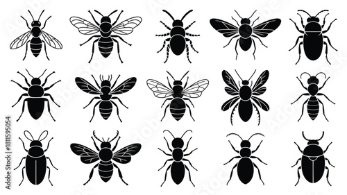 Various insect silhouettes vector icons set