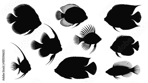 Exotic aquatic fish creatures silhouettes