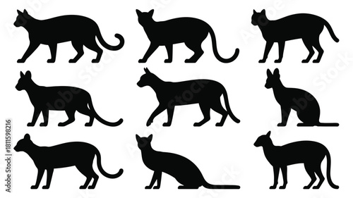 Set of various black cat silhouette icons