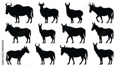 Silhouettes of diverse wild animal species
