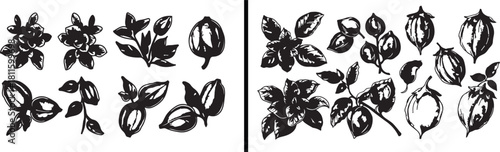 Leaf Line Art, Botanical Outline Drawing, Nature Sketch Illustration, Minimal Leaf Design, Hand Drawn Plant Art, Black and White Leaf Vector, Floral Line Artwork, Botanical Print Design, Garden Illust