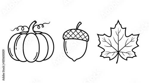 Delightful autumn harvest icons for seasonal designs Pumpkin, acorn, and maple leaf illustrations ready for fall promotions and Thanksgiving greetings