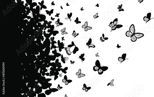 Abstract swarm of flying black butterfly silhouettes dispersing from a dense group isolated on white background, nature vector illustration for spring banner or wall art design