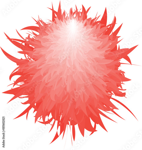 red flower isolated on white