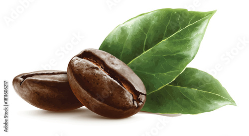 Aromatic coffee beans and leaves beautifully displayed on a white background