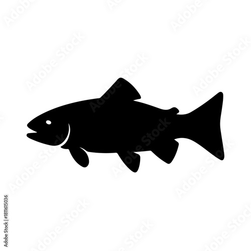 Brown trout fish vector illustration