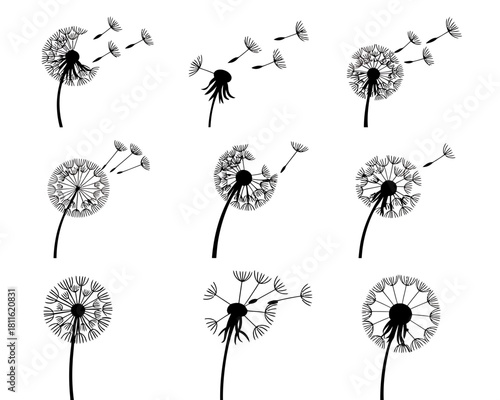 Collection of black dandelion silhouettes with seeds blowing in the wind