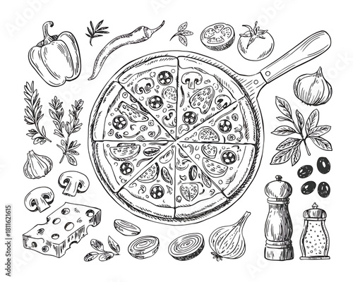 Hand drawn pizza and ingredients sketch on white background
