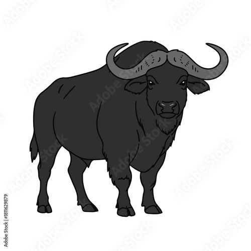 Black Buffalo Illustration  Strong Farm Animal Vector Clipart