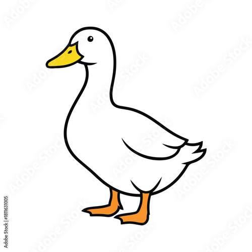 Cute Cartoon Duck Illustration  White Farm Duck Vector