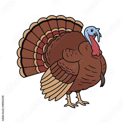 Cartoon Turkey Illustration  Farm Bird Vector Clipart