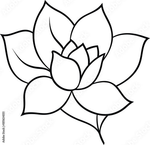 blossoming beauty line art transparent background