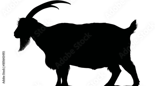 Detailed black silhouette of a standing domestic goat with long horns and beard, isolated on a clean white background.
