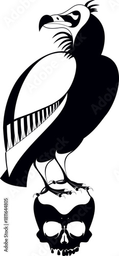 Predator bird standing on scull