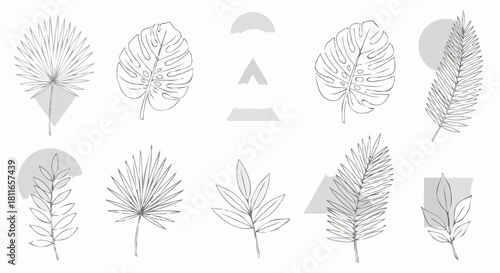 A minimalist collection of line art tropical leaves, featuring palm and monstera, with abstract geometric shapes for an elegant botanical design concept