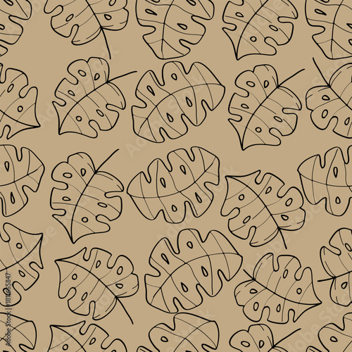 Seamless pattern monstera leaves doodle drawing.Vector illustration