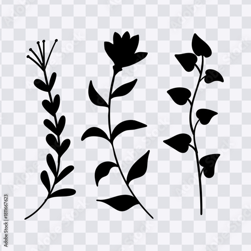 Flowers silhouette botanical set vector illustration