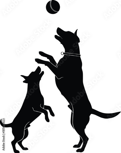 Silhouettes of two playful dogs jumping for a ball — energetic pets in action, perfect for themes of fun or companionship