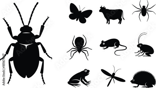 Silhouettes of various animals including insects, cow, frog, mouse, and more, illustrating diverse wildlife, nature, and biodiversity