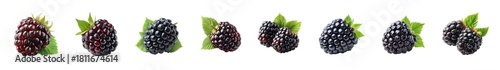 Collection of fresh blackberries with green leaves on a white background.