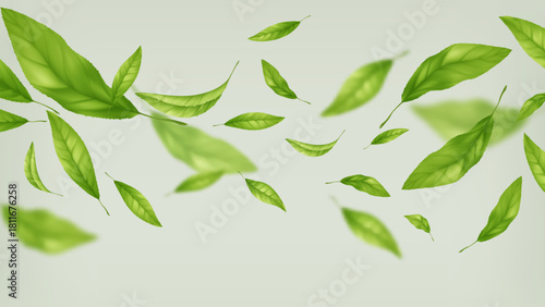 Floating Green Leaves on Light Background, Fresh Nature Theme, Modern Foliage Design, Vector Illustration Background