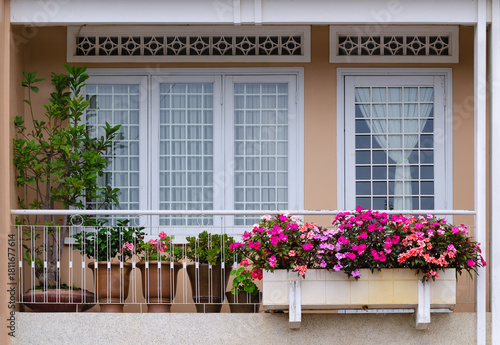 flowers and plants on balcony