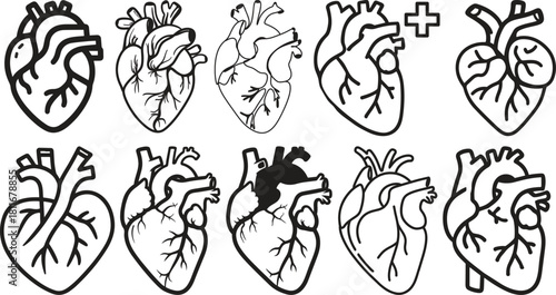 Anatomical heart icon set.Human anatomy internal organ set with brain lung intestine heart kidney liver and stomatch.Healthy Cardiovascular Organ Symbol Collection on White Background and red.