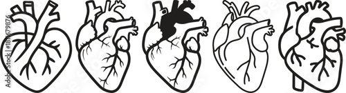 Anatomical heart icon set.Human anatomy internal organ set with brain lung intestine heart kidney liver and stomatch.Healthy Cardiovascular Organ Symbol Collection on White Background and red.