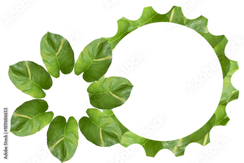 Two Green Leaf Circle Frames on White Background