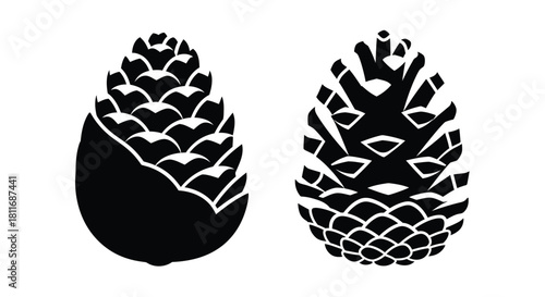 Two black and white pine cones displayed in a simple graphic style