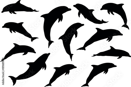 Dolphin silhouette collection marine mammals in various poses for design elements