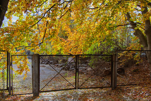 Metal gate in autumn forest with colorful foliage and dappled sunlight