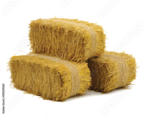 Three rectangular hay bales stacked and tied with twine on white background