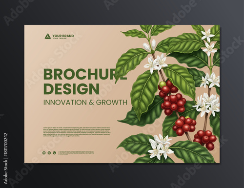 coffee tree and coffee fruit background brochure design illustration