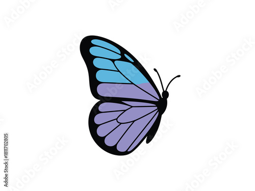 Wallpaper Mural Stylized butterfly illustration with blue and purple wings on white background Torontodigital.ca