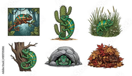 Chameleon illustrations set wildlife fauna and nature concept designs