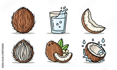 Coconut illustrations with variations of whole and cut forms