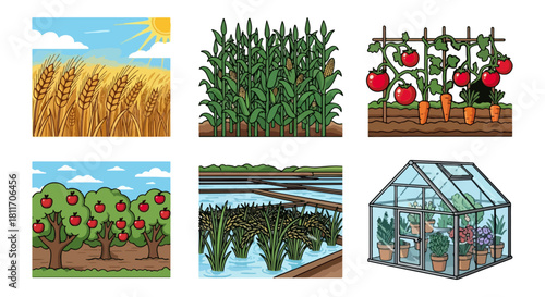 Cultivated fields and garden elements in illustration style