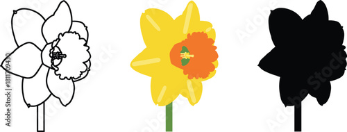 Daffodil Flower Icon Set - Outline, Color, and Silhouette Vector