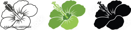Simple Hibiscus Flower Icon Set - Outline, Color, and Silhouette Vector