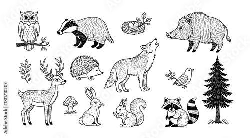 Collection of hand drawn forest animals and plants artistic sketch style natural elements vector
