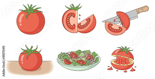 Tomato illustration set sliced preparation and salad composition