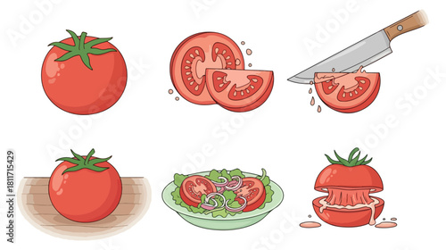 Tomato illustration set sliced whole and salad preparation